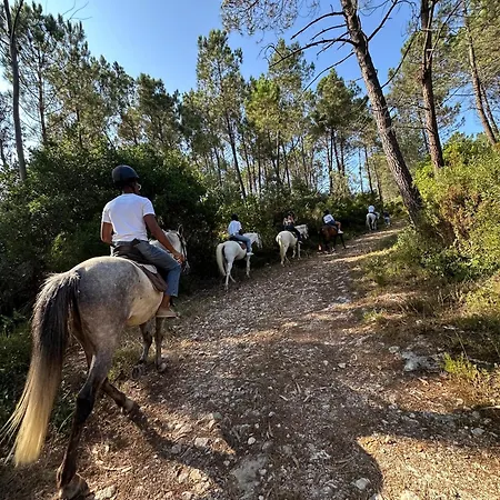 Semesterbostad Casa Da Mae Ju Porto de Mós